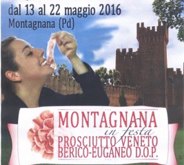 montagnana1 001 267x240