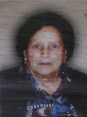 Elsa Marchesini 178x240