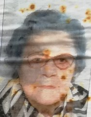 balugani lina 188x240