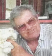 benatti domenico 220x240