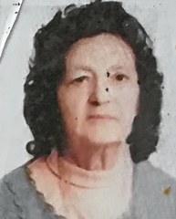 bresciani ida 193x240