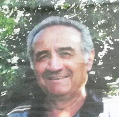 cranchi luigi 243x240