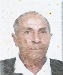 feriani ivo 203x240
