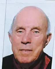 franzoso domenico 190x240