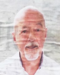 gazzini stefano 194x240