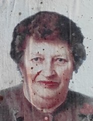 malagò rosa 185x240