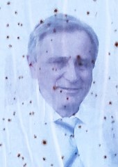 malavasi roberto 170x240