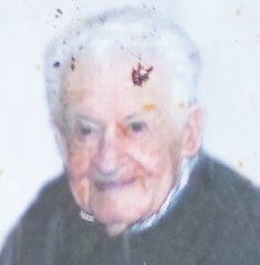 maselli aldo 235x240