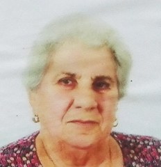 oliani augusta 232x240