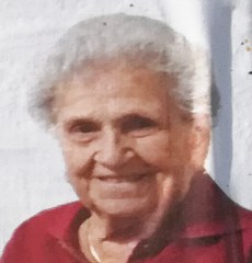paviani dilva 230x240