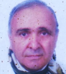 selmani ideal 214x240