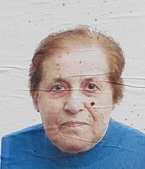 vertuani anna maria 206x240