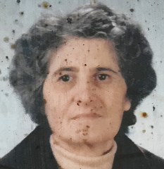 vicenzi agnese 233x240
