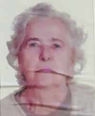 zavatti egle 197x240