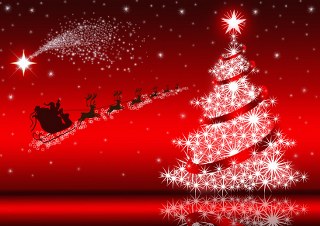 alberi di natale 15 320x226