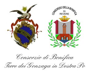 bonifica terre gonzaga 293x240