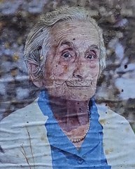 giacomelli maria 193x240