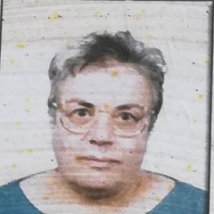 lambertini graziella 240x240